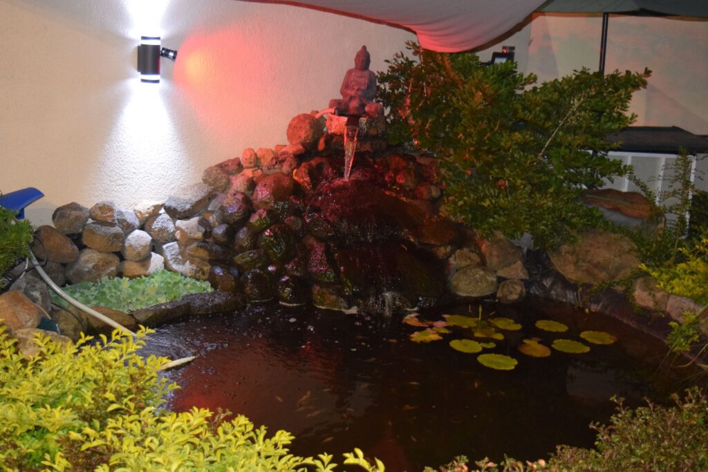 Rits Aquaworld aquatic pets and aquariums